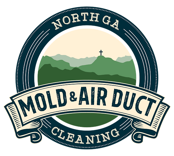 duct cleaning logo